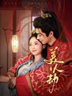 《美人劫》电视剧免费观看高清完整版在线观看